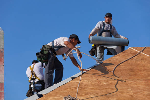 Best Roofing Contractors for Homes  in Holley, NY